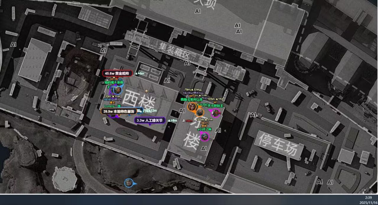 骨骼透视效果呈现